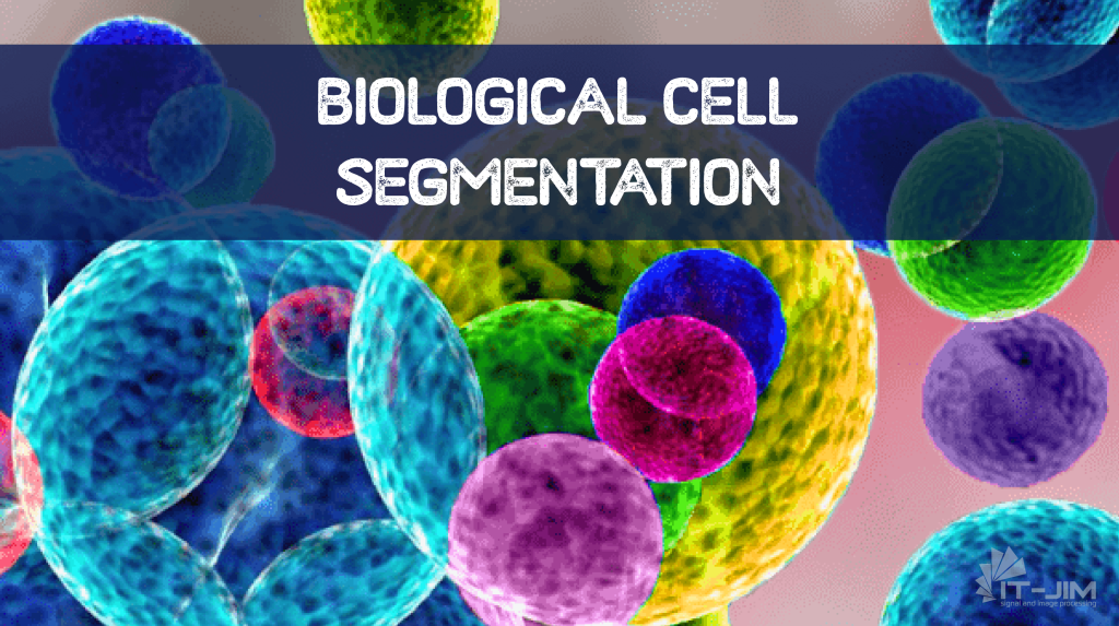Biological Cells Segmentation