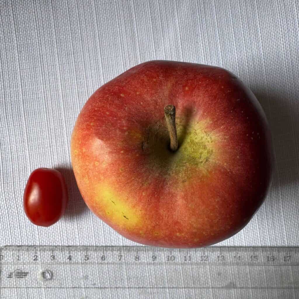 Fiducial Markers Overview: Types, Use Cases, & Comparison Table - picture 1