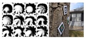 E2ETag, appearance (left), complex case detection (right)