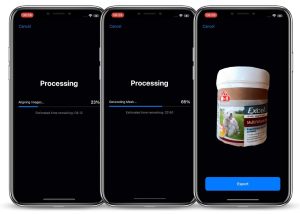 Exporting a 3D reconstruction of a captured object on an iPhone