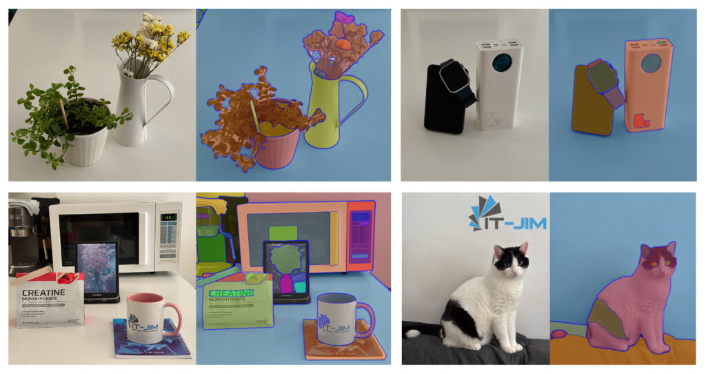 Segmentation Guide for iOS: Top 4 Models in 2026